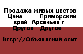 Продажа живых цветов › Цена ­ 80 - Приморский край, Арсеньев г. Другое » Другое   